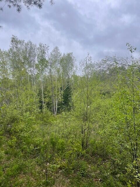 0 Cushing Rd, Durham, ME 04222