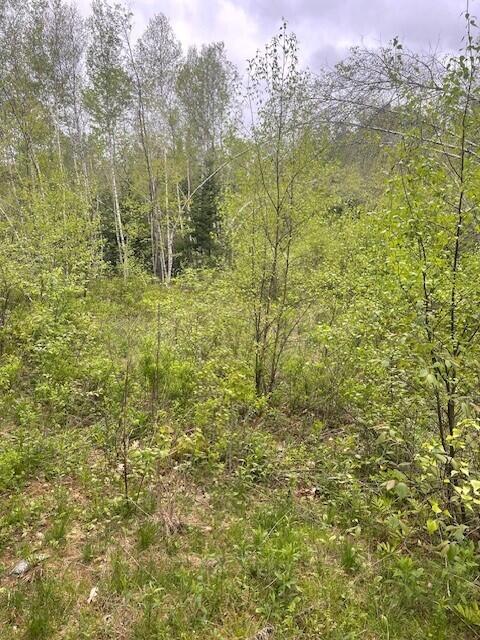 0 Cushing Rd, Durham, ME 04222