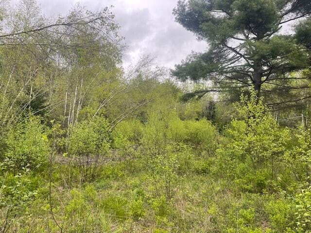 0 Cushing Rd, Durham, ME 04222