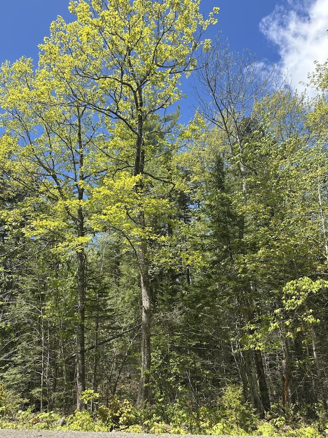LOT10 Shamrock Ln, Damariscotta, ME 04543