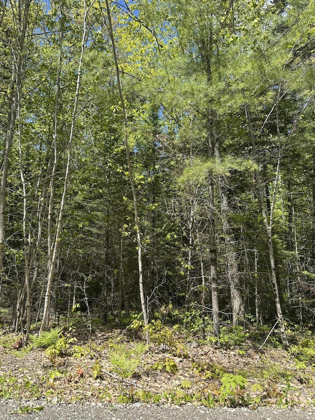 LOT10 Shamrock Ln, Damariscotta, ME 04543