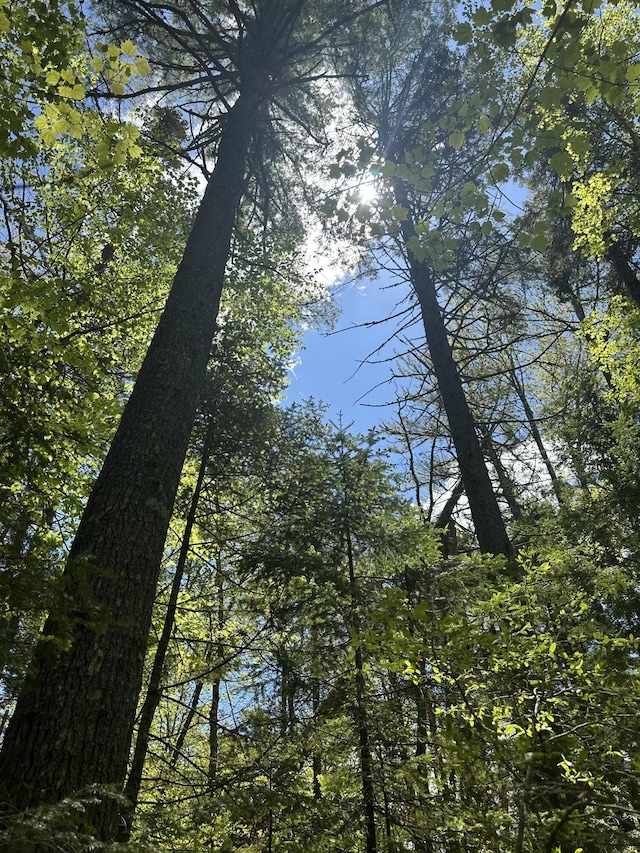 LOT10 Shamrock Ln, Damariscotta, ME 04543