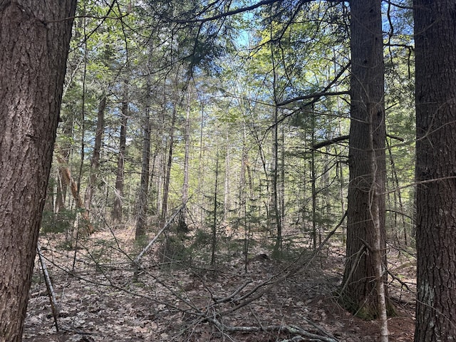 LOT10 Shamrock Ln, Damariscotta, ME 04543