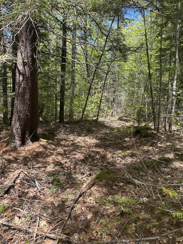 LOT10 Shamrock Ln, Damariscotta, ME 04543