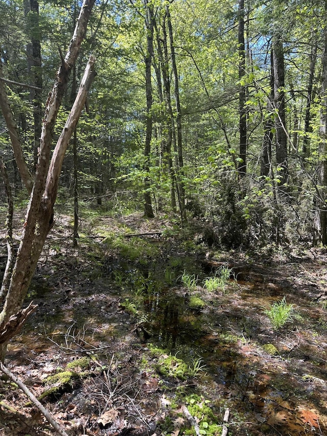 LOT10 Shamrock Ln, Damariscotta, ME 04543