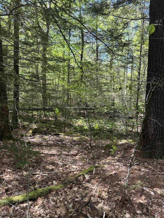 LOT10 Shamrock Ln, Damariscotta, ME 04543