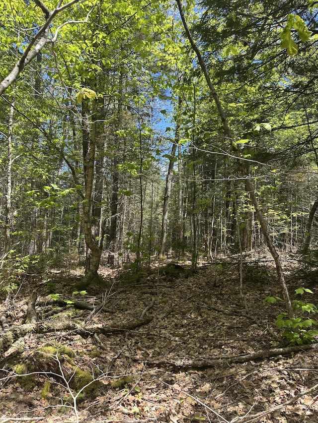 LOT10 Shamrock Ln, Damariscotta, ME 04543