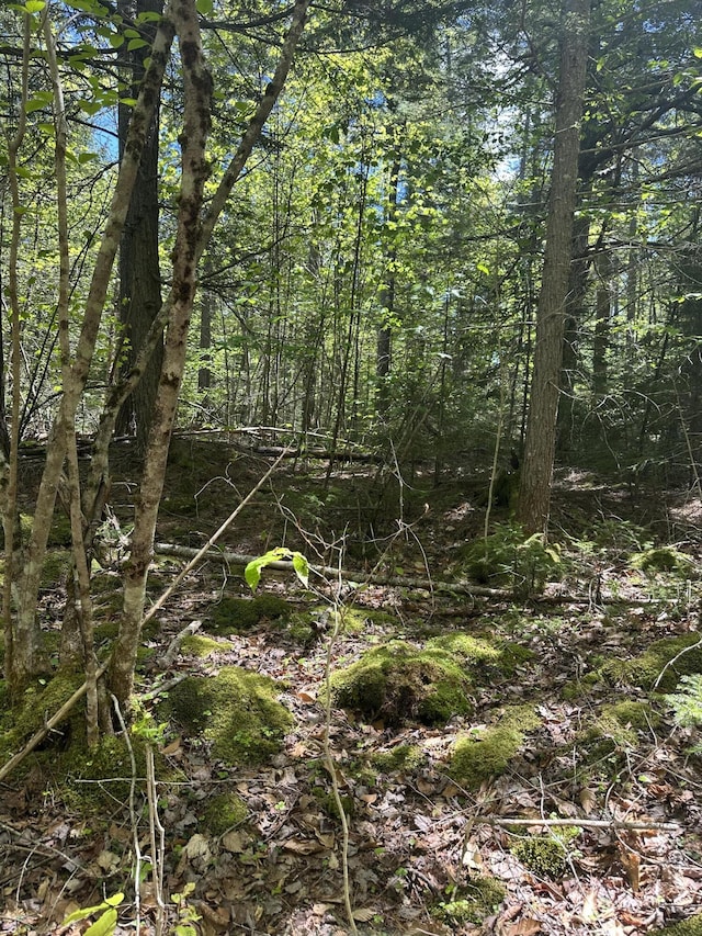 LOT10 Shamrock Ln, Damariscotta, ME 04543