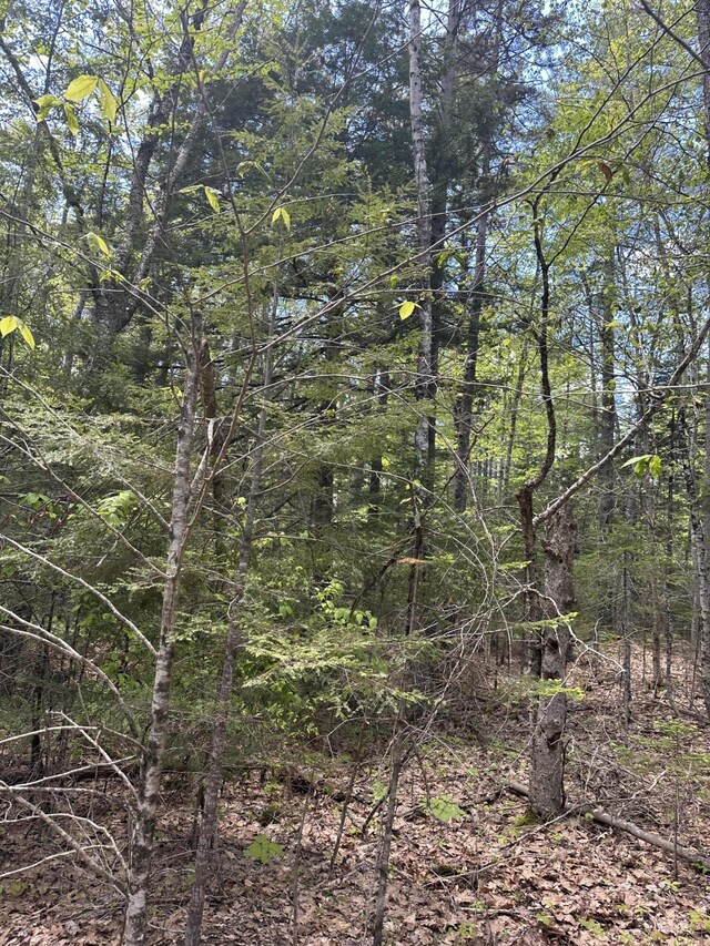 LOT10 Shamrock Ln, Damariscotta, ME 04543
