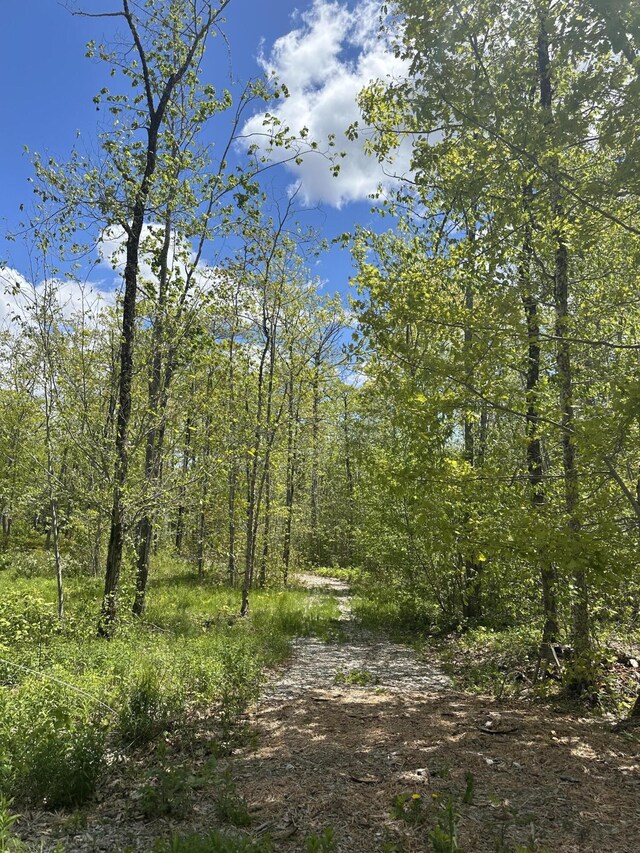 LOT10 Shamrock Ln, Damariscotta, ME 04543