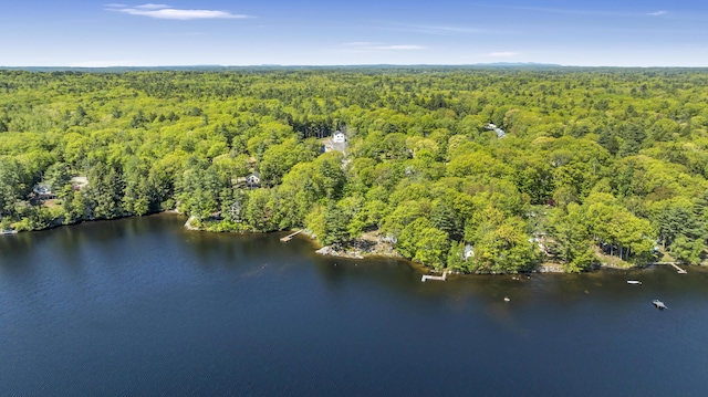 67 Overlook Rd, Windham, ME 04062 - aerial view of property's location featuring a heavily wooded area and a large body of water