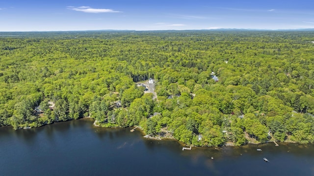 67 Overlook Rd, Windham, ME 04062 - aerial view of property's location featuring a forest and a large body of water