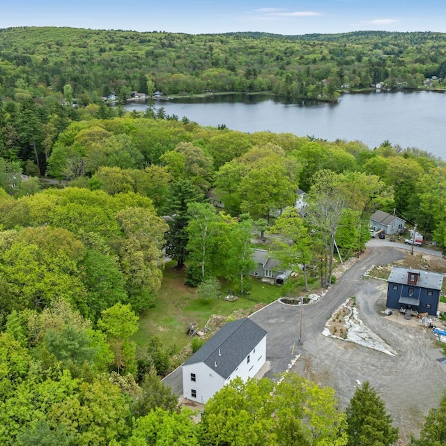 67 Overlook Rd, Windham, ME 04062 - aerial view of a forest and a nearby body of water