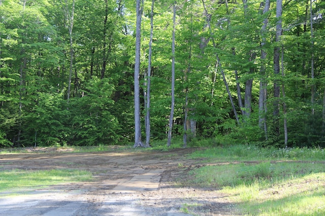89 Drake Rd, Madison, ME 04950 - view of woods