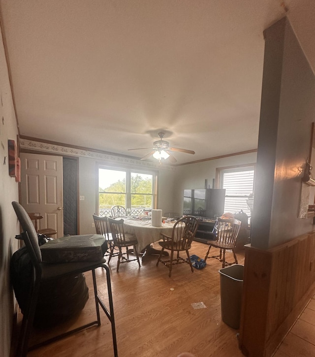 187 Purkis Rd, Buckfield, ME 04220 - dining space with a ceiling fan, crown molding, and wood finished floors
