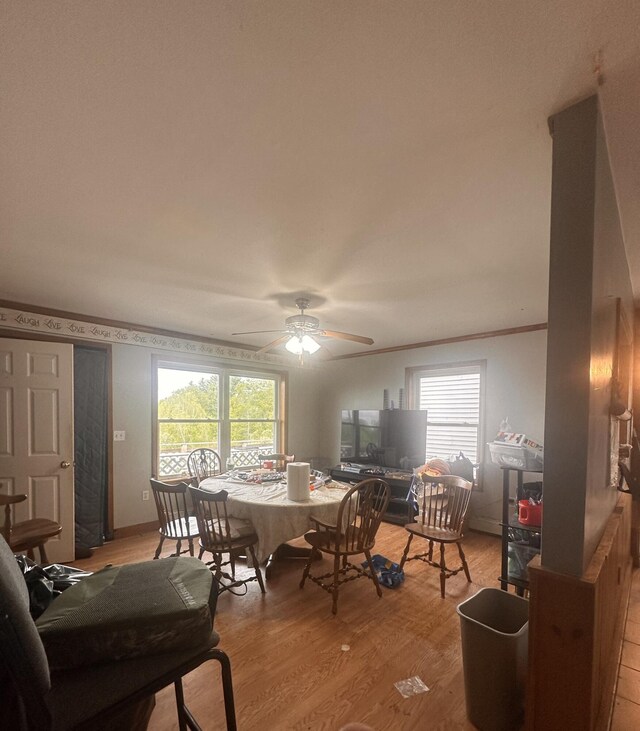 187 Purkis Rd, Buckfield, ME 04220 - dining room featuring crown molding, light wood-type flooring, and ceiling fan