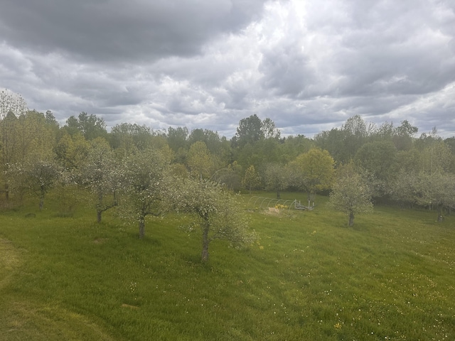 187 Purkis Rd, Buckfield, ME 04220 - view of undeveloped land featuring rural landscape