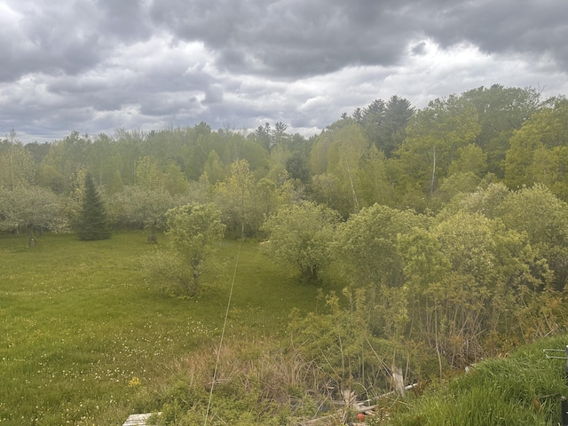 187 Purkis Rd, Buckfield, ME 04220 - view of local wilderness