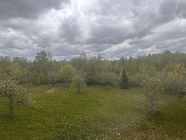 187 Purkis Rd, Buckfield, ME 04220 - view of undeveloped land