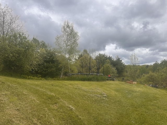 187 Purkis Rd, Buckfield, ME 04220 - view of grassy yard with a view of trees