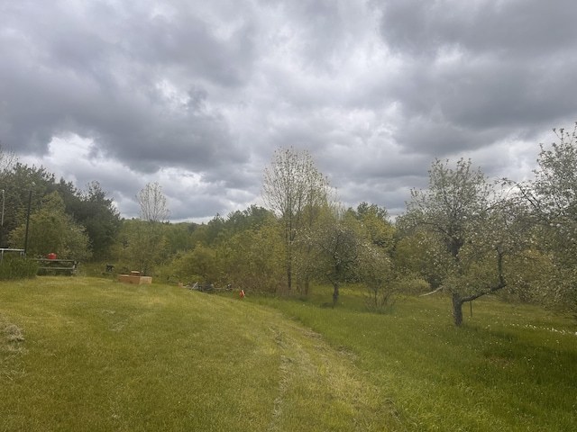 187 Purkis Rd, Buckfield, ME 04220 - view of green lawn with a wooded view