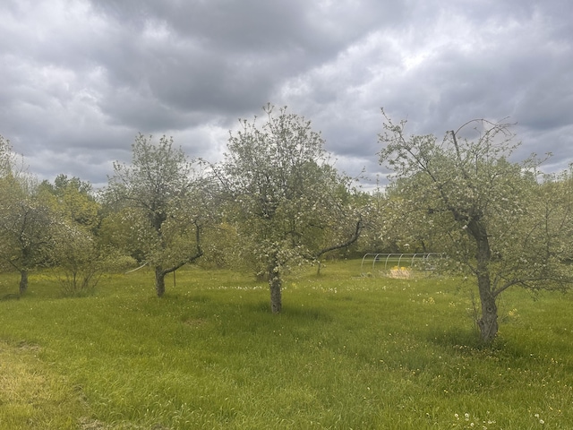 187 Purkis Rd, Buckfield, ME 04220 - view of undeveloped land