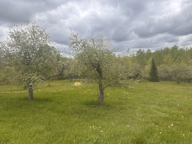 187 Purkis Rd, Buckfield, ME 04220 - view of undeveloped land