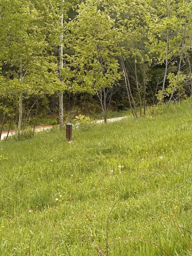 187 Purkis Rd, Buckfield, ME 04220 - view of undeveloped land
