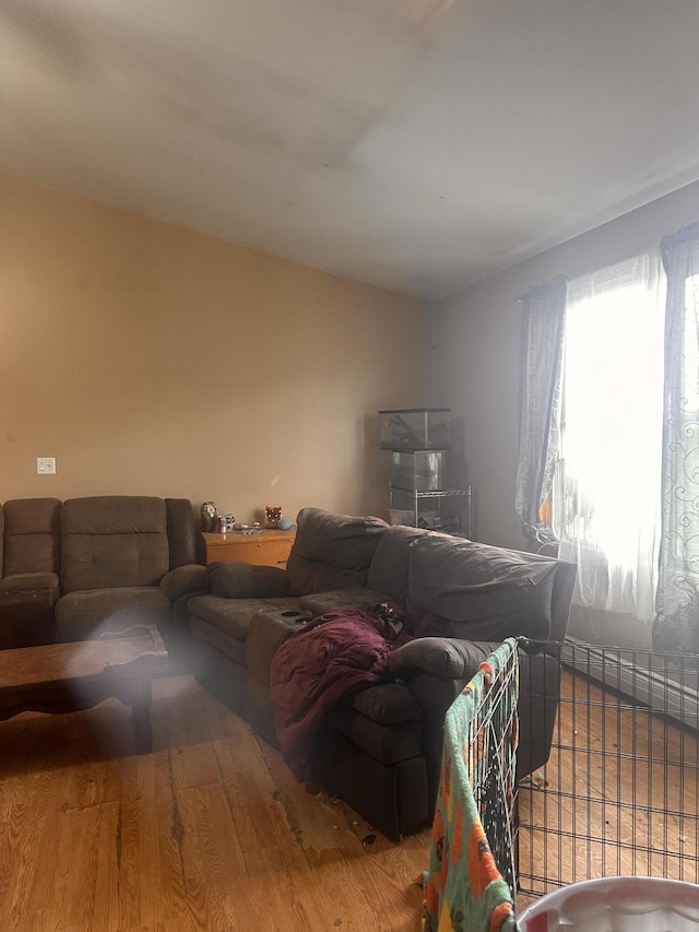 187 Purkis Rd, Buckfield, ME 04220 - living room featuring wood finished floors