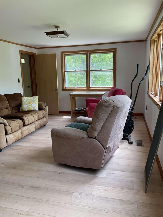 264 Watson Hill Rd, Limerick, ME 04048 - living room with crown molding, baseboards, and light wood finished floors