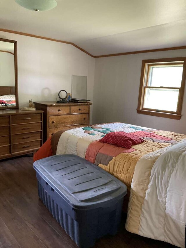 264 Watson Hill Rd, Limerick, ME 04048 - bedroom featuring ornamental molding and dark wood-style flooring