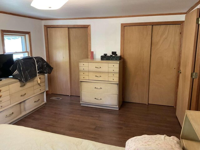 264 Watson Hill Rd, Limerick, ME 04048 - bedroom with multiple closets, crown molding, and dark wood-style flooring