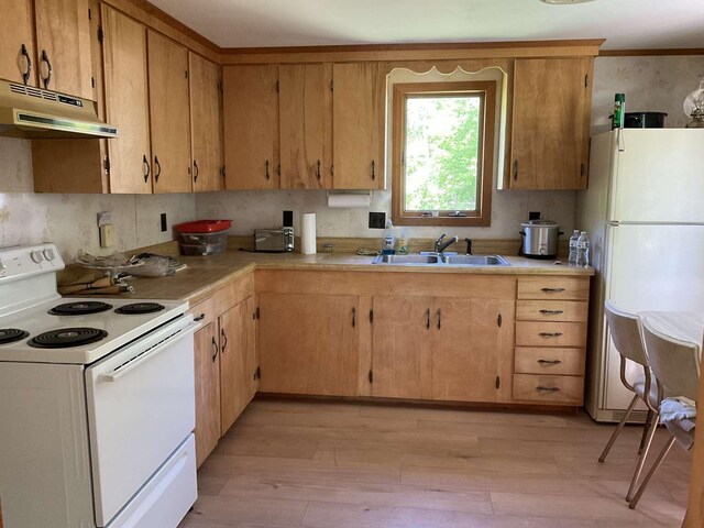 264 Watson Hill Rd, Limerick, ME 04048 - kitchen with white appliances, under cabinet range hood, light wood-style floors, a sink, and light countertops