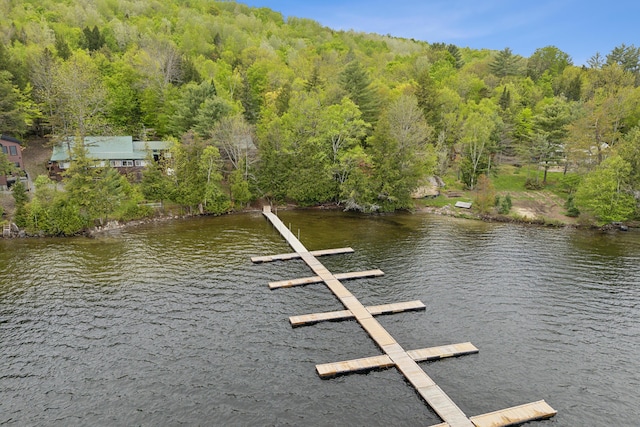 41 Boat Point Dr Unit 29, Embden, ME 04958