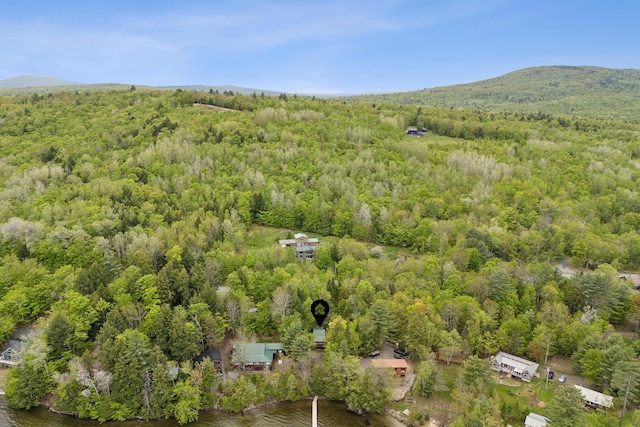 41 Boat Point Dr Unit 29, Embden, ME 04958