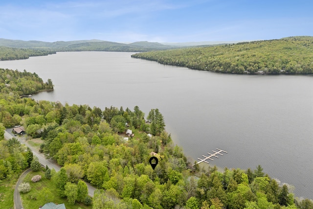 41 Boat Point Dr Unit 29, Embden, ME 04958