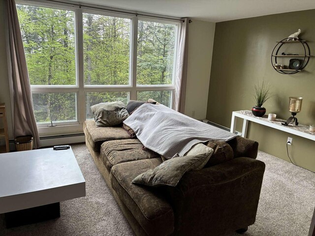 2011 Clark St, Carrabassett Valley, ME 04947 - photo 8