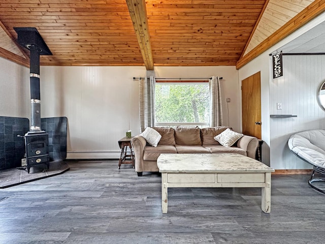 144 Sinclair Rd, Sinclair, ME 04779 - living room featuring wood ceiling, lofted ceiling, a wood stove, a baseboard radiator, and wood finished floors