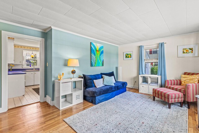 4 Hillside Ave, Biddeford, ME 04005 - living room featuring crown molding, plenty of natural light, light wood-type flooring, and baseboards