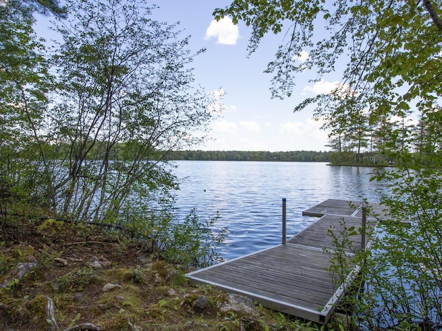 44 Cove Ln, Damariscotta, ME 04543 - dock featuring a water view