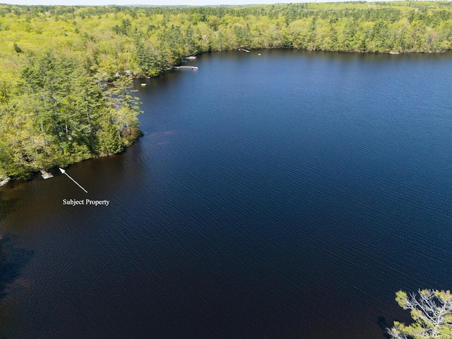 44 Cove Ln, Damariscotta, ME 04543 - aerial view of a heavily wooded area and a nearby body of water