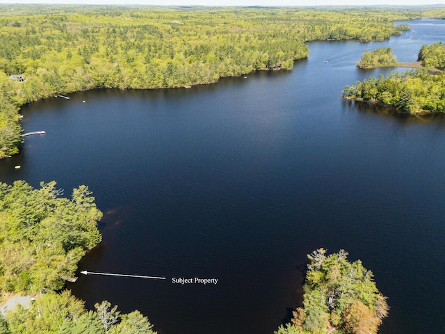 44 Cove Ln, Damariscotta, ME 04543 - drone / aerial view of a heavily wooded area and a large body of water