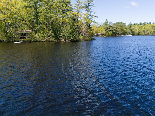 44 Cove Ln, Damariscotta, ME 04543 - water view featuring a forest