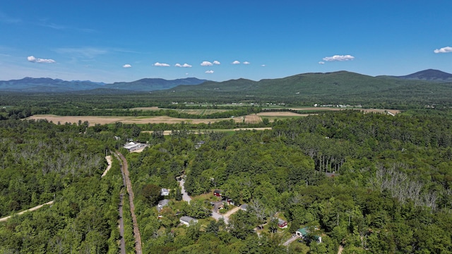 93 Maple St, Fryeburg, ME 04037 - aerial view of a forest and a mountainous background