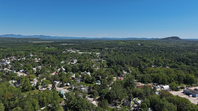 93 Maple St, Fryeburg, ME 04037 - view of property location with a forest and a mountain backdrop