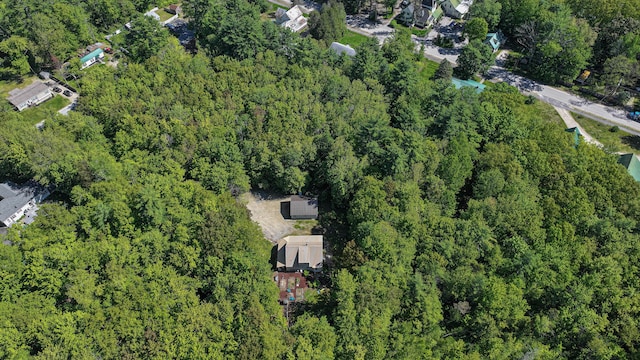 93 Maple St, Fryeburg, ME 04037 - aerial view of property and surrounding area with a heavily wooded area