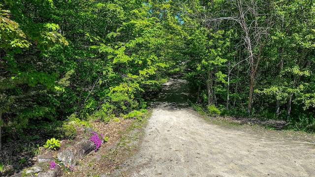 93 Maple St, Fryeburg, ME 04037 - view of road featuring a wooded view