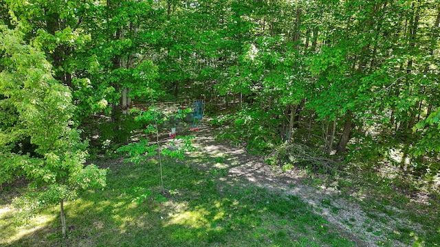 93 Maple St, Fryeburg, ME 04037 - view of nature