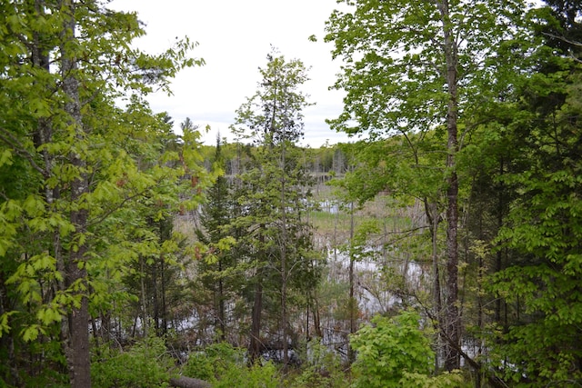 149 Egypt Pond Rd, Chesterville, ME 04938 - photo 47
