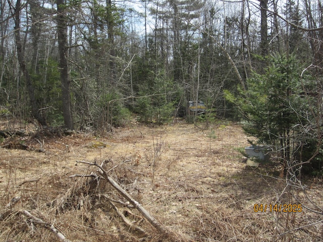 40 Cookson Dr, Kenduskeag, ME 04450 - view of undeveloped land